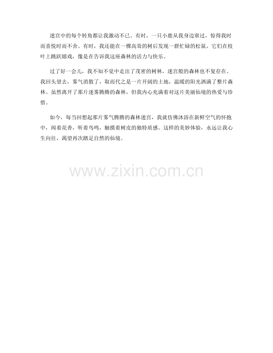 雾气腾腾的森林迷宫.docx_第2页