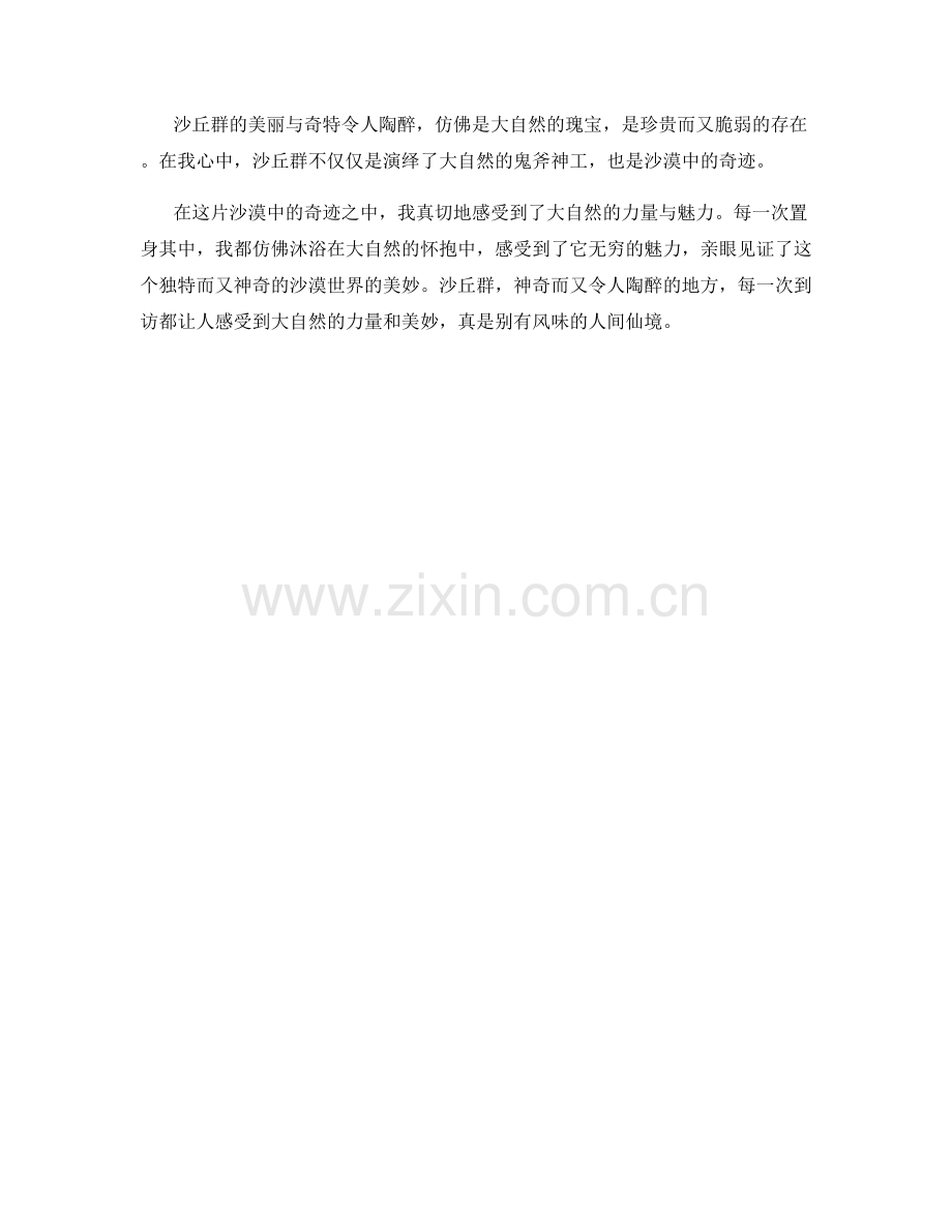 沙漠中的奇迹：沙丘群.docx_第2页