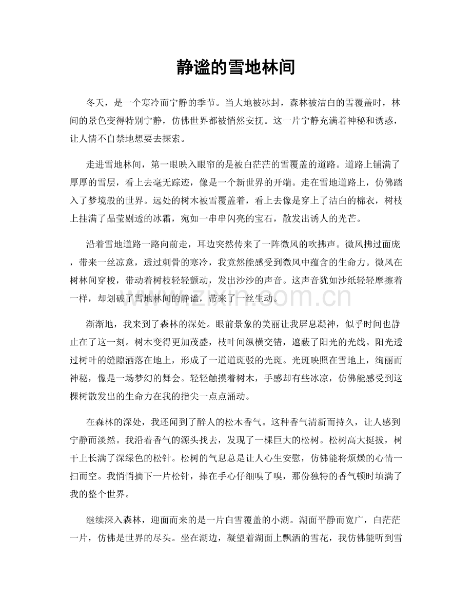 静谧的雪地林间.docx_第1页