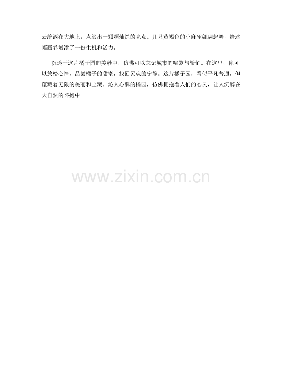沁人心脾的橘园.docx_第2页