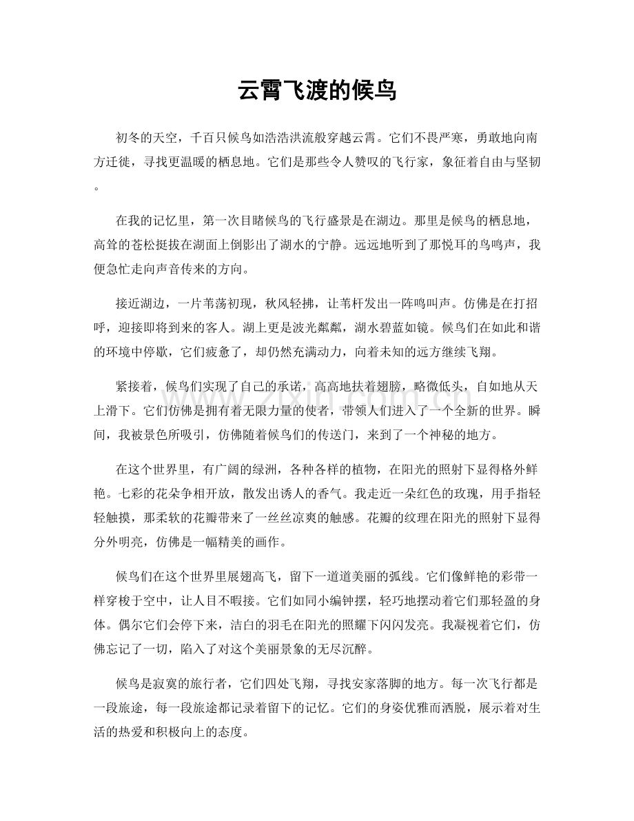 云霄飞渡的候鸟.docx_第1页