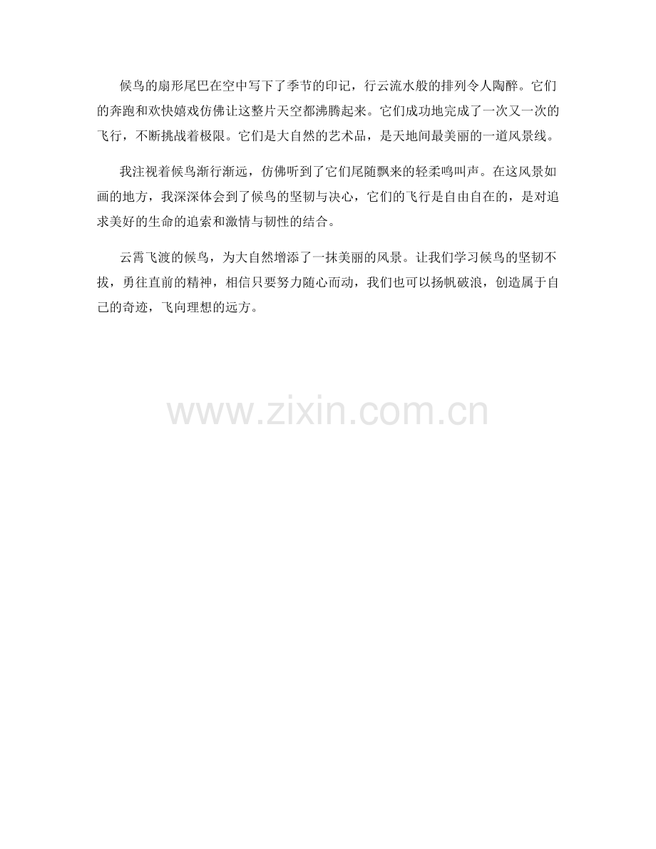 云霄飞渡的候鸟.docx_第2页