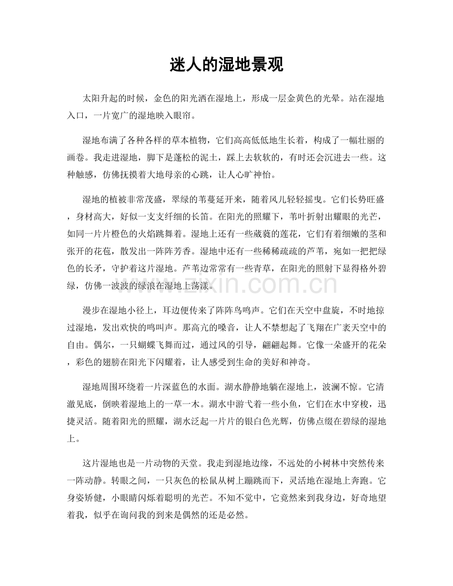 迷人的湿地景观.docx_第1页