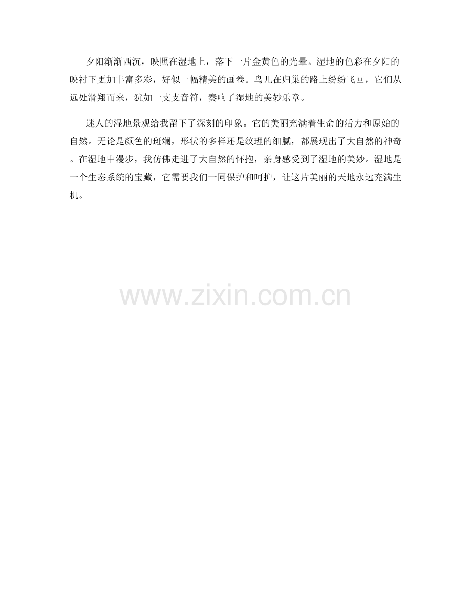 迷人的湿地景观.docx_第2页