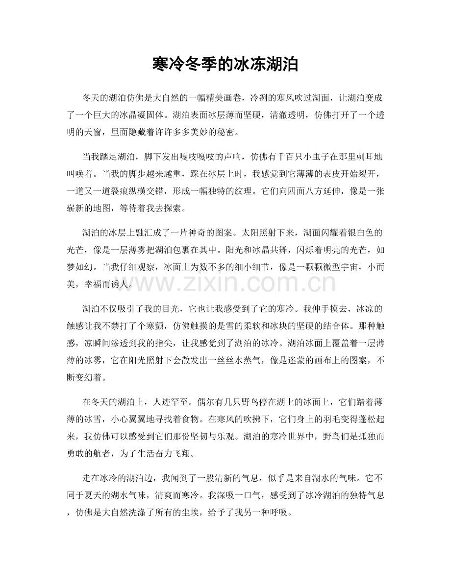 寒冷冬季的冰冻湖泊.docx_第1页
