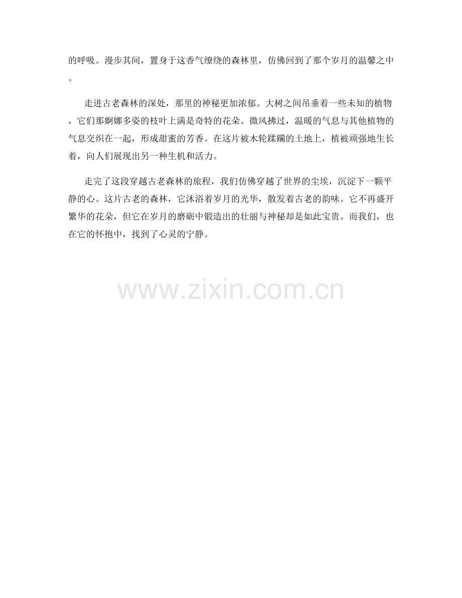 古老森林中的神秘.docx_第2页