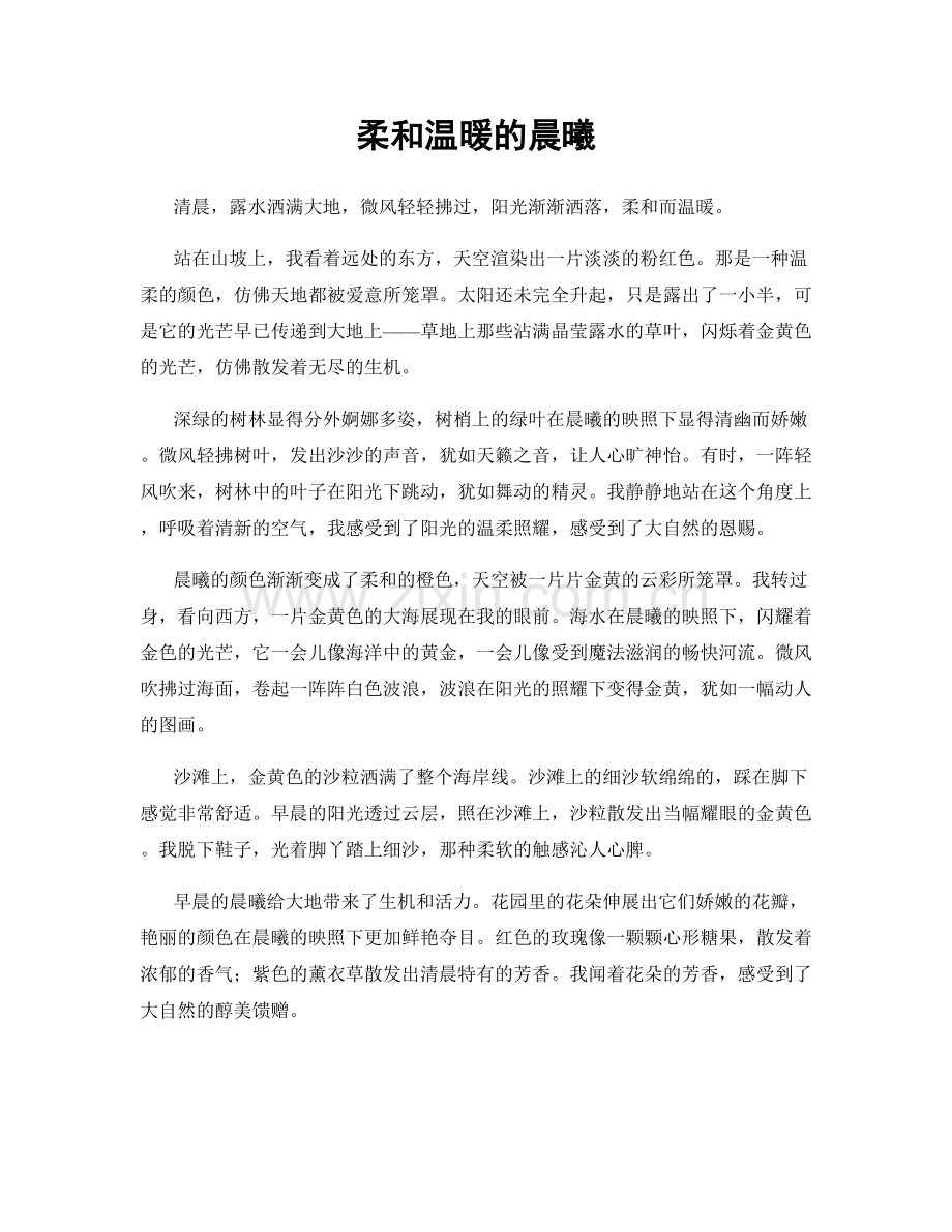 柔和温暖的晨曦.docx_第1页