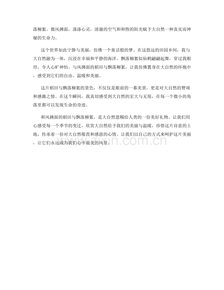 和风拂面的稻田与飘落柳絮.docx_第2页