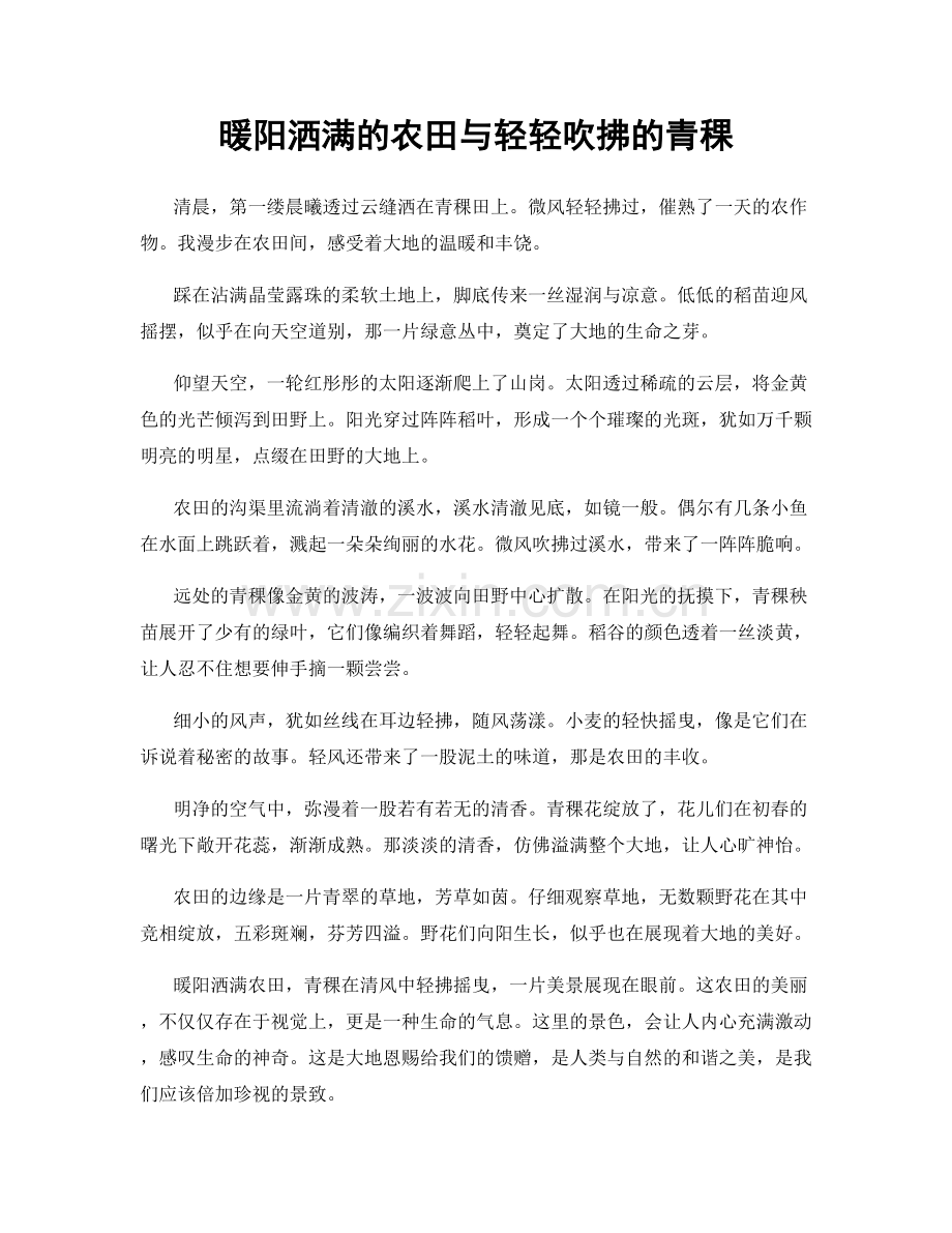 暖阳洒满的农田与轻轻吹拂的青稞.docx_第1页