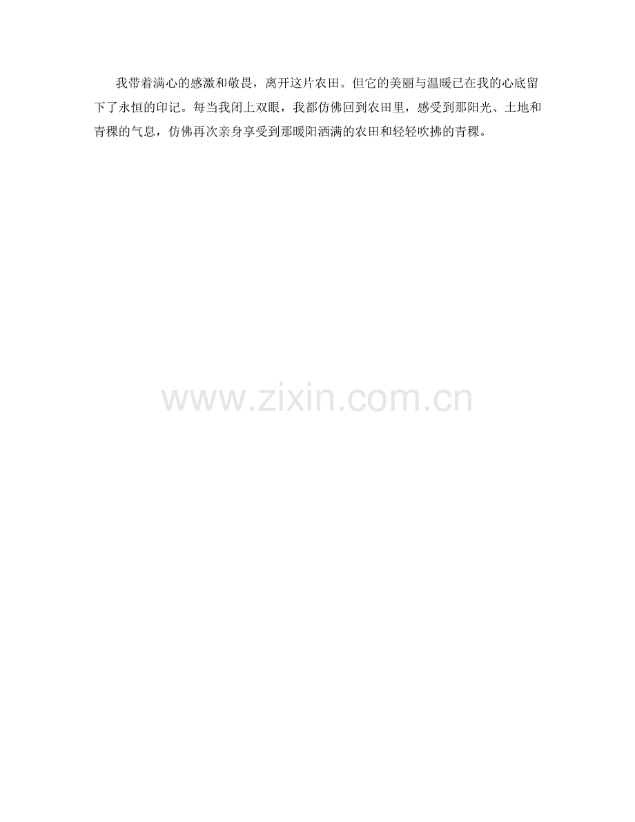 暖阳洒满的农田与轻轻吹拂的青稞.docx_第2页
