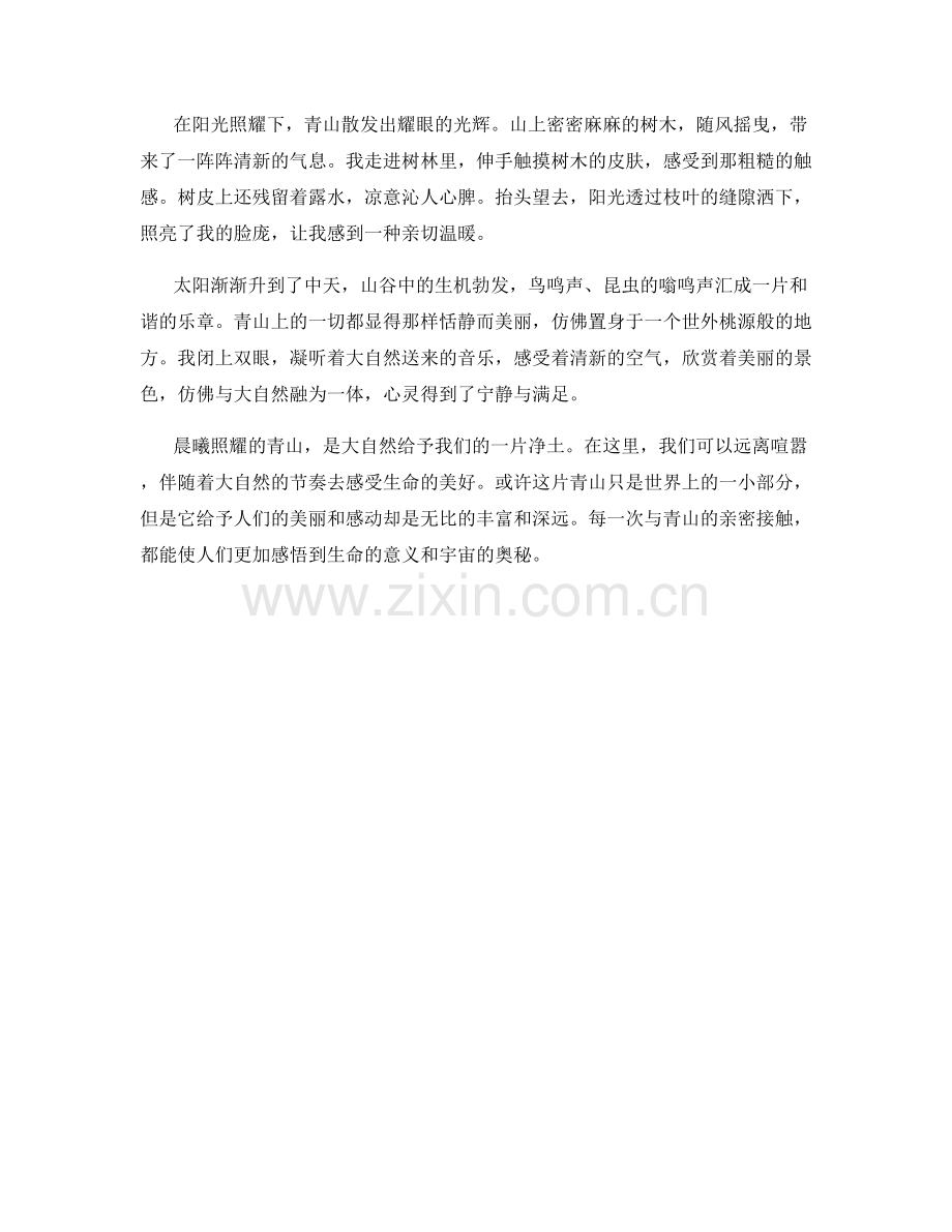 晨曦照耀的青山.docx_第2页