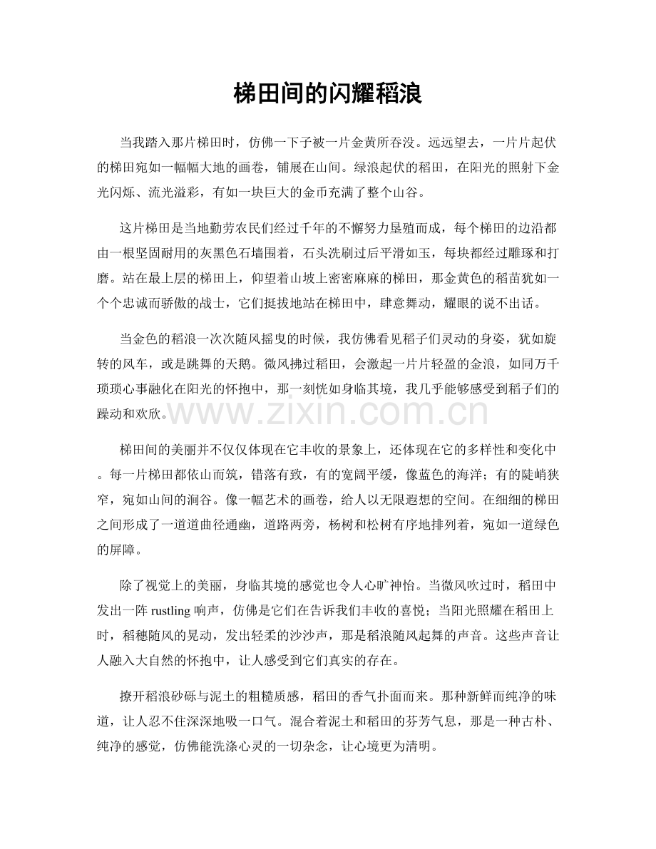 梯田间的闪耀稻浪.docx_第1页