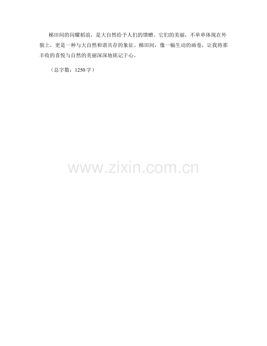 梯田间的闪耀稻浪.docx_第2页