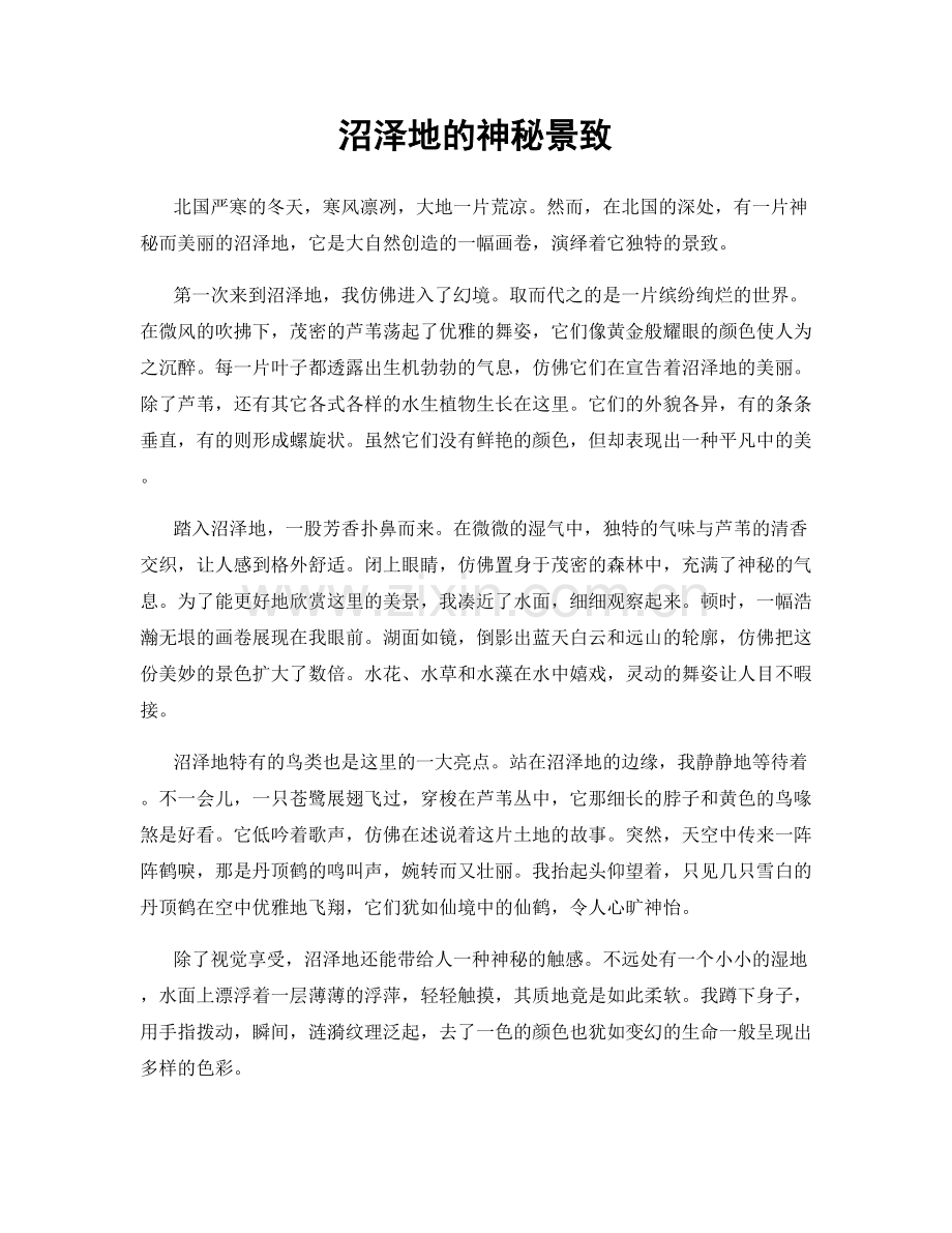 沼泽地的神秘景致.docx_第1页