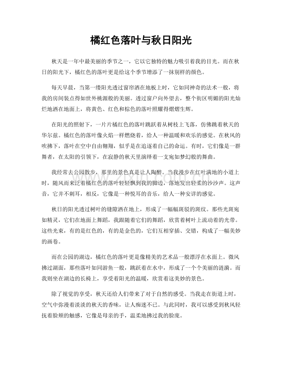橘红色落叶与秋日阳光.docx_第1页