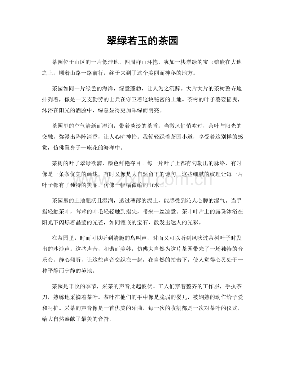 翠绿若玉的茶园.docx_第1页