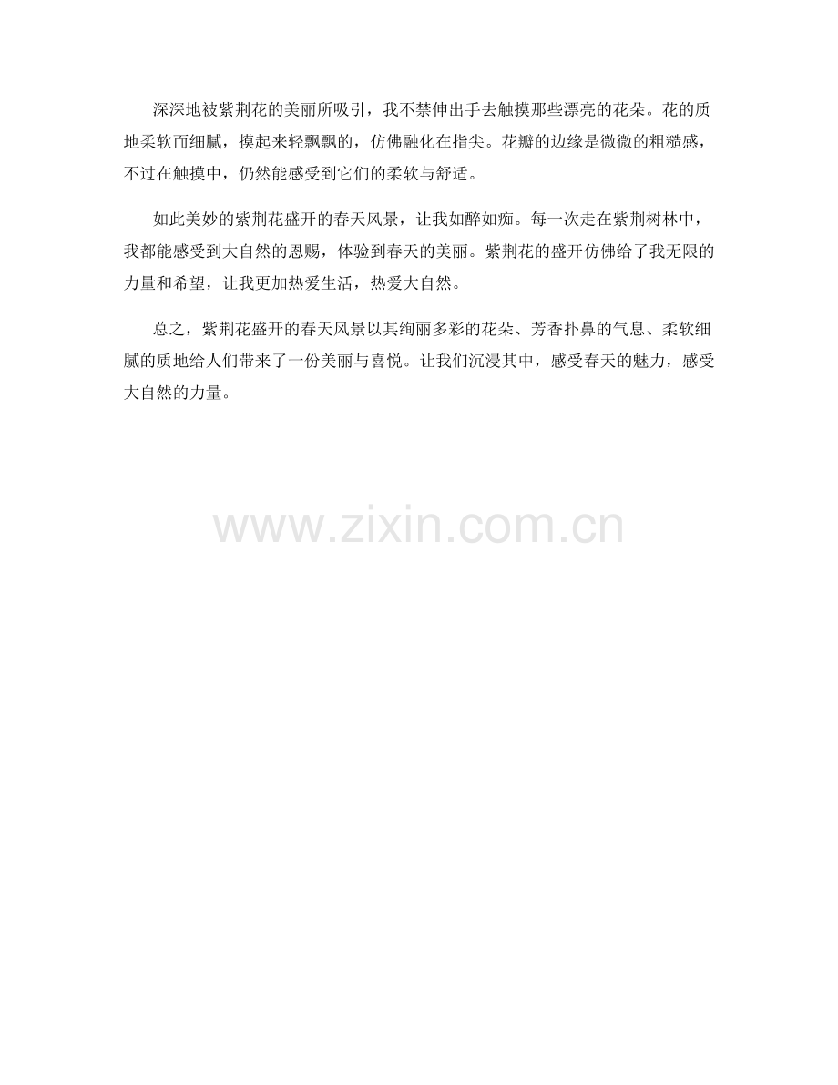 紫荆花盛开的春天风景.docx_第2页