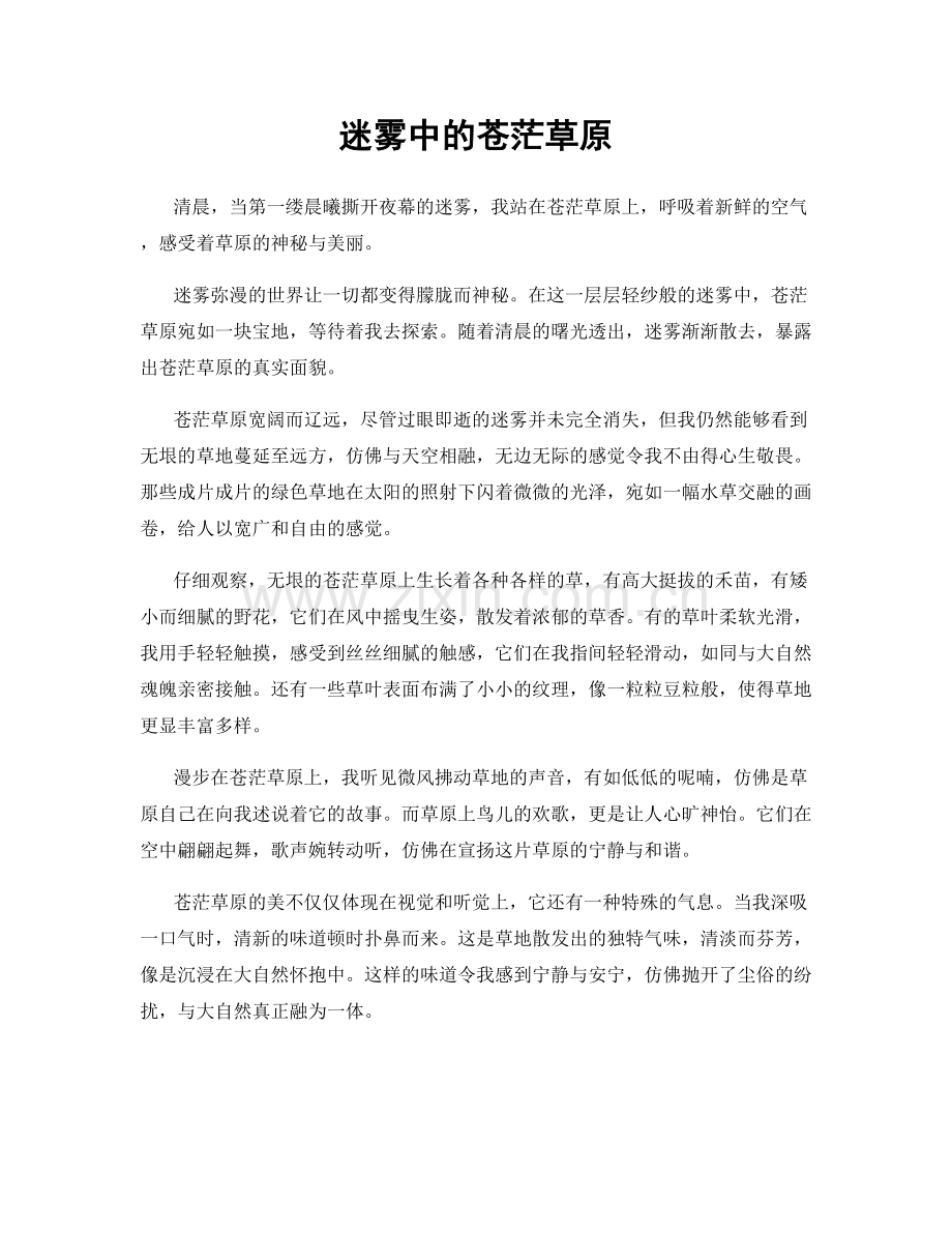 迷雾中的苍茫草原.docx_第1页
