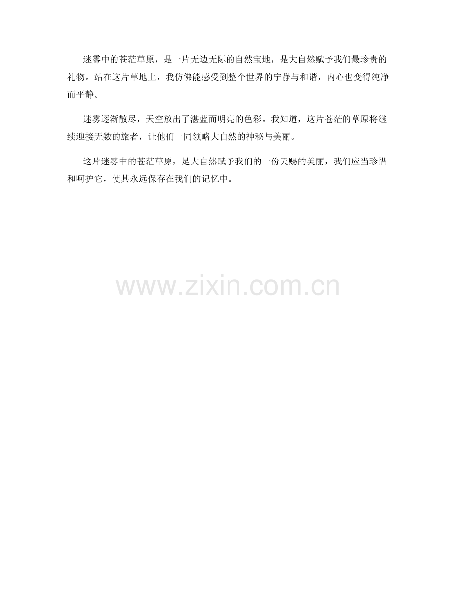迷雾中的苍茫草原.docx_第2页