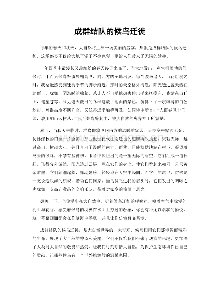 成群结队的候鸟迁徙.docx_第1页
