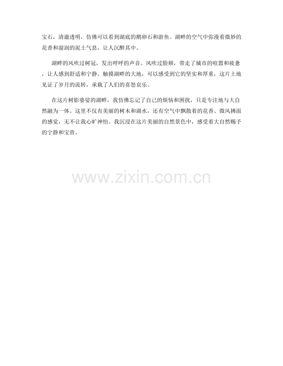 树影婆娑的湖畔.docx_第2页