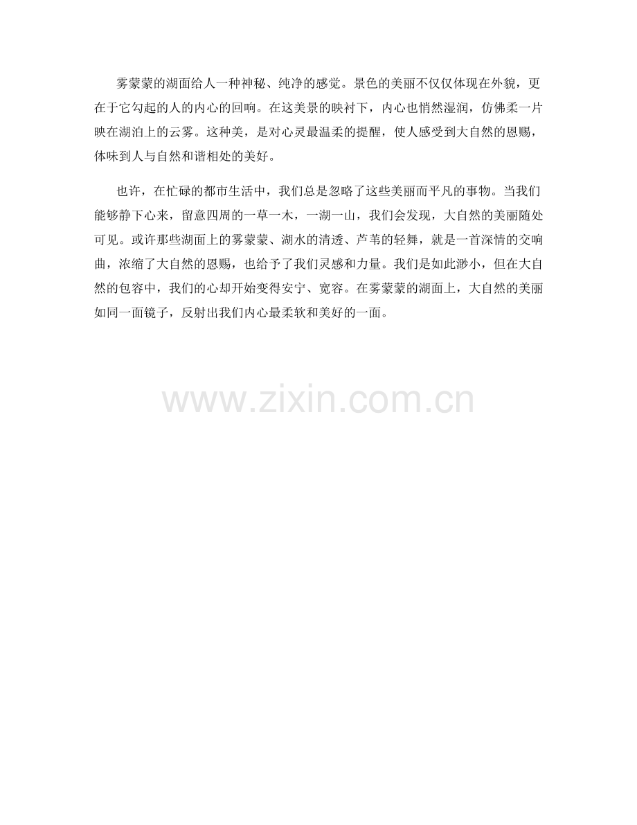 雾蒙蒙的湖面.docx_第2页