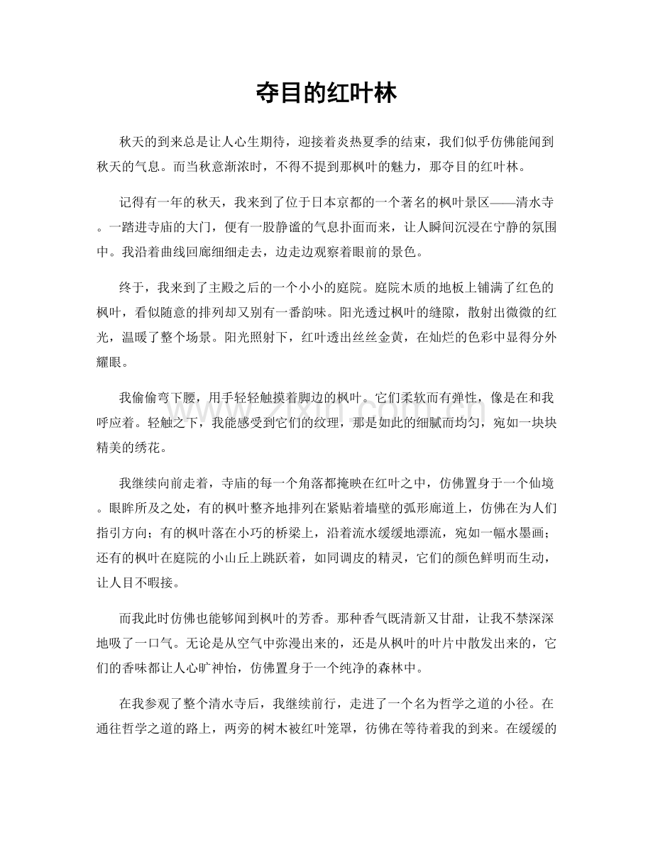 夺目的红叶林.docx_第1页