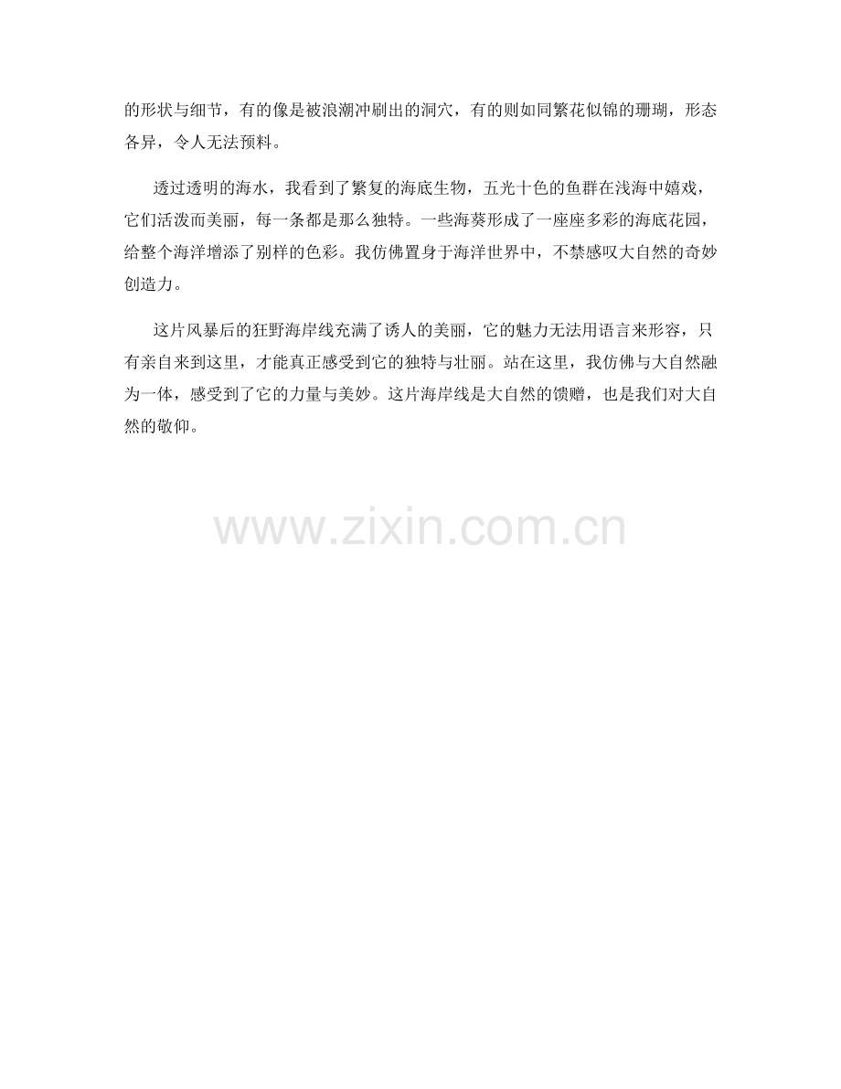 风暴下的狂野海岸线.docx_第2页