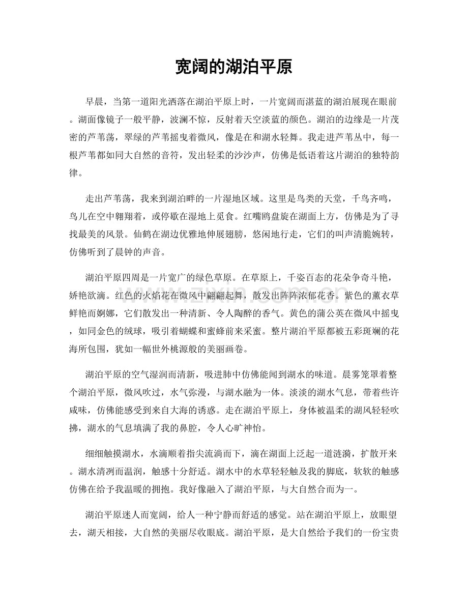 宽阔的湖泊平原.docx_第1页
