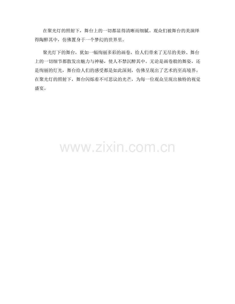 聚光灯下的舞台.docx_第2页