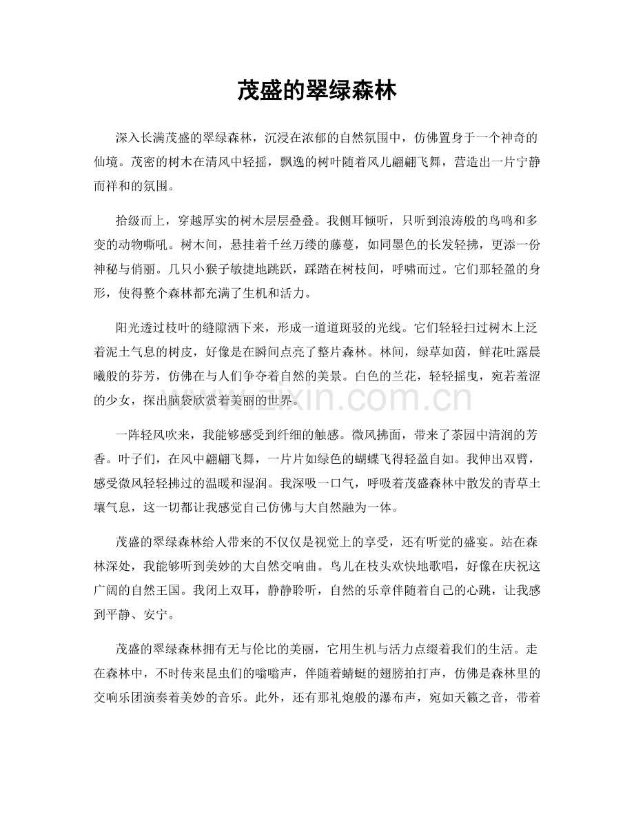 茂盛的翠绿森林.docx_第1页