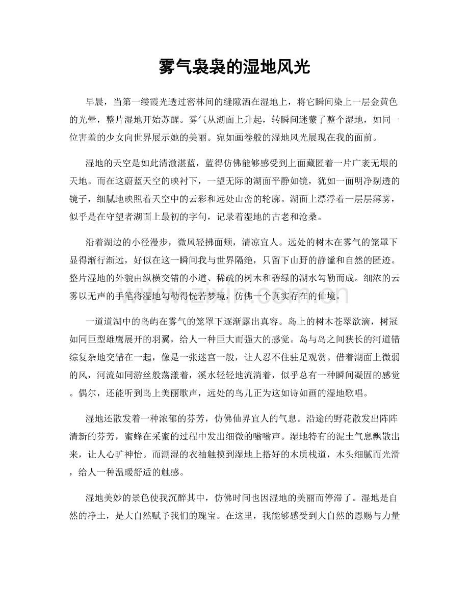 雾气袅袅的湿地风光.docx_第1页