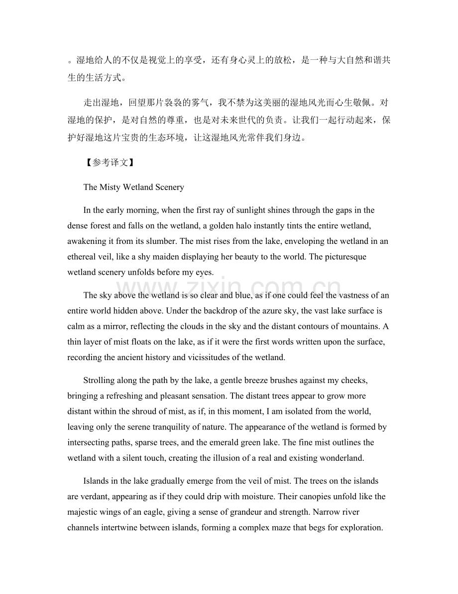 雾气袅袅的湿地风光.docx_第2页