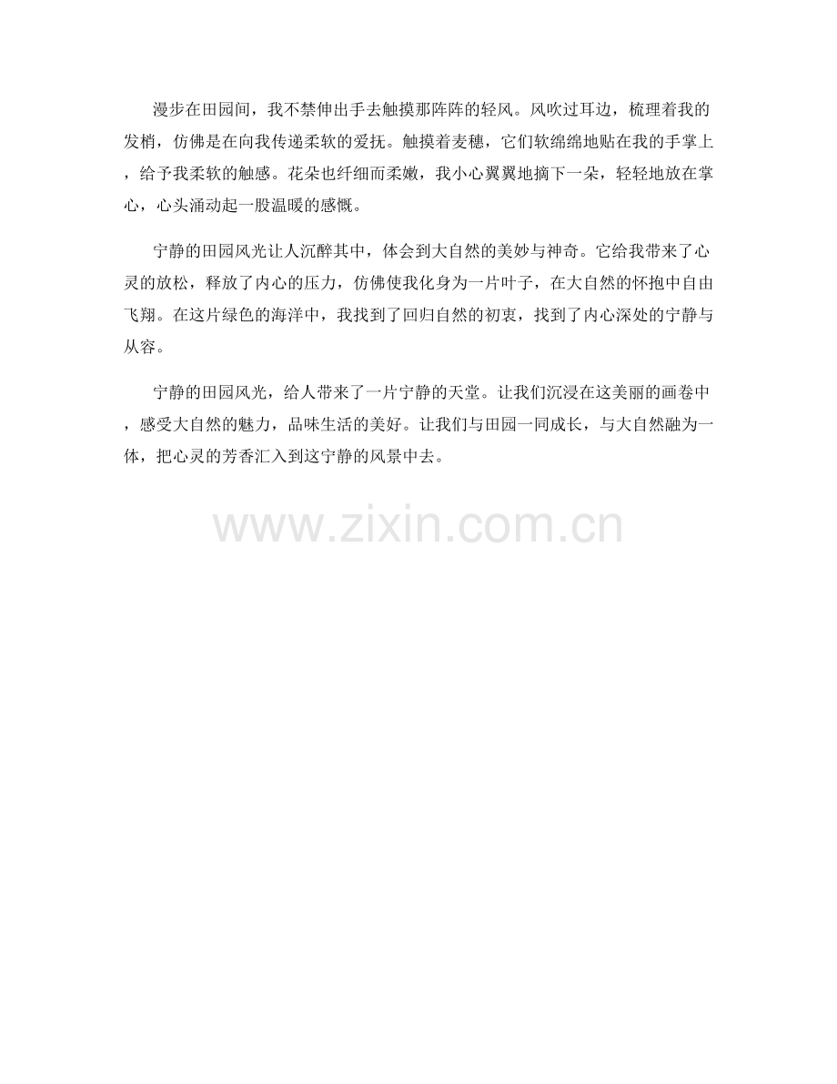 宁静的田园风光让人沉醉其中.docx_第2页