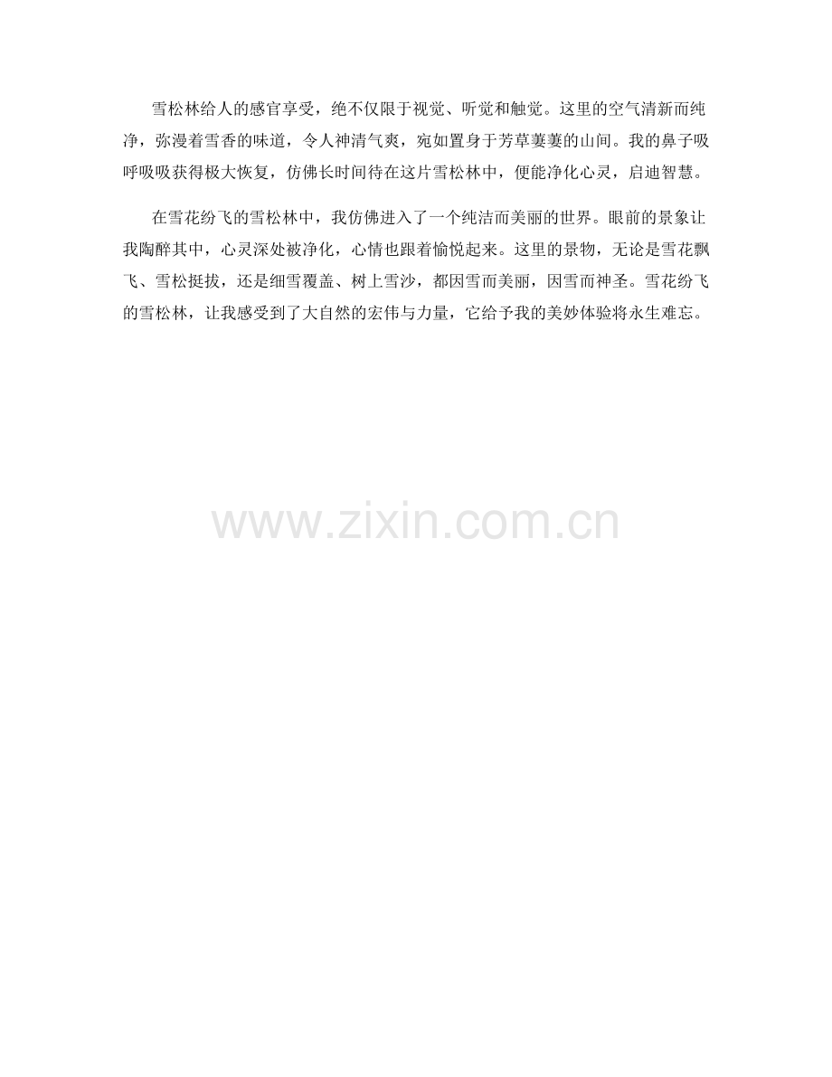 雪花纷飞的雪松林.docx_第2页