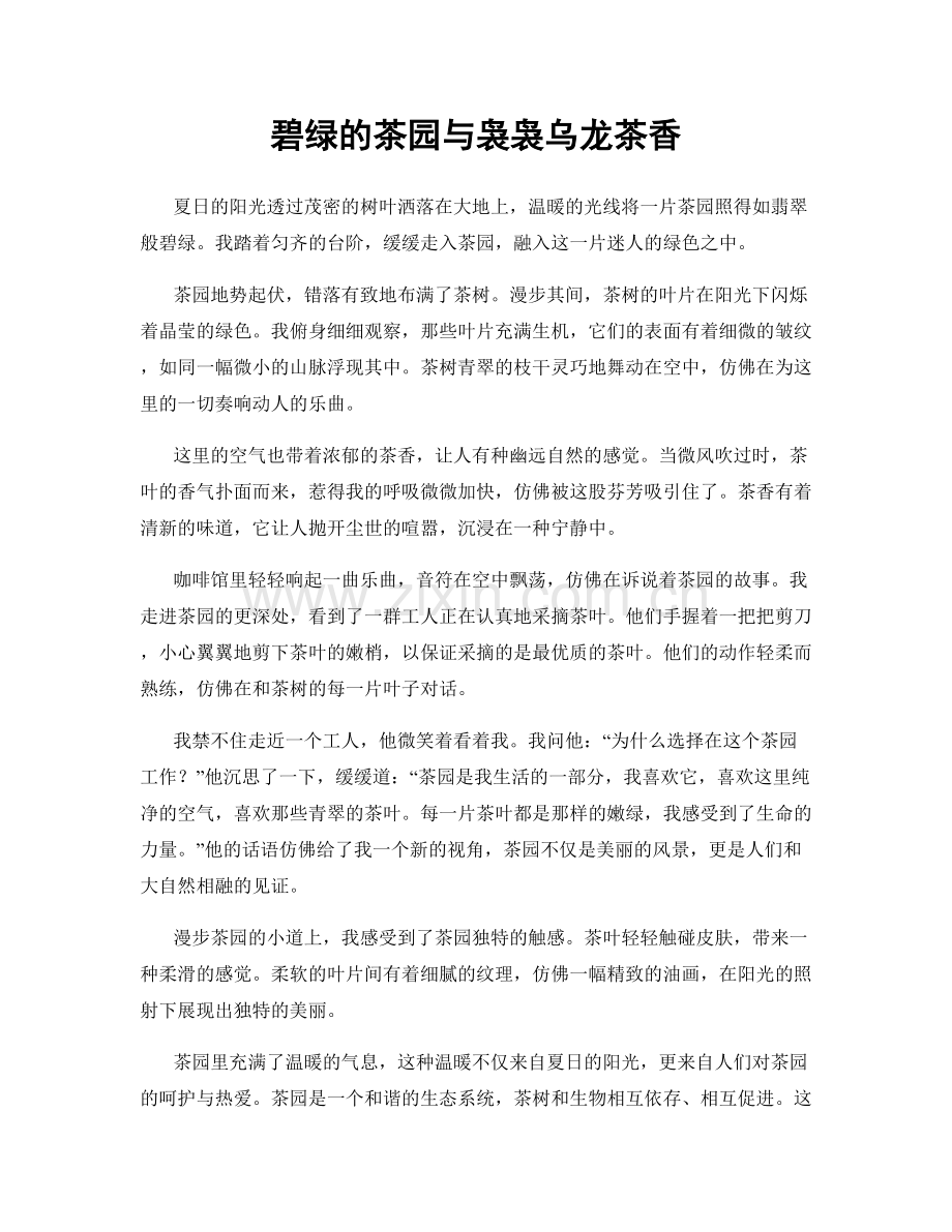 碧绿的茶园与袅袅乌龙茶香.docx_第1页