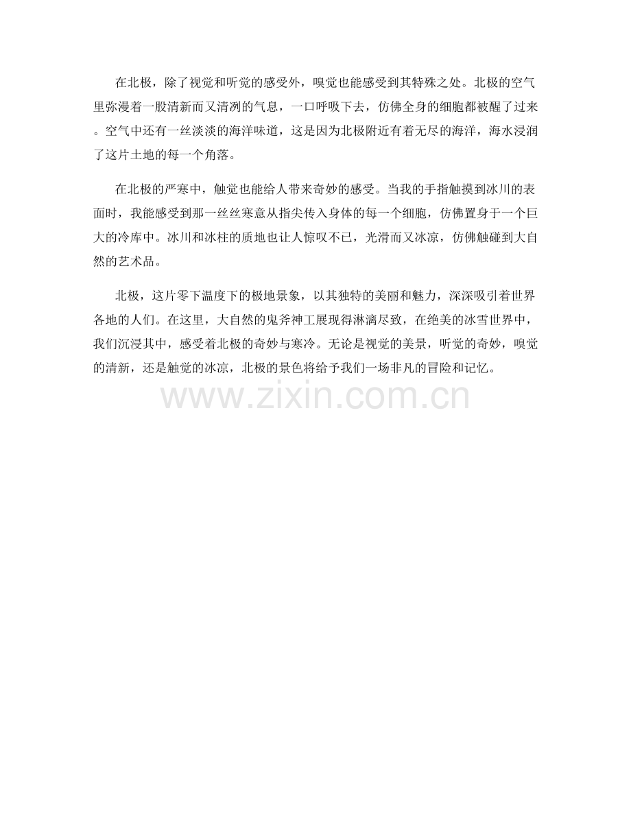 零下温度下的极地景象.docx_第2页