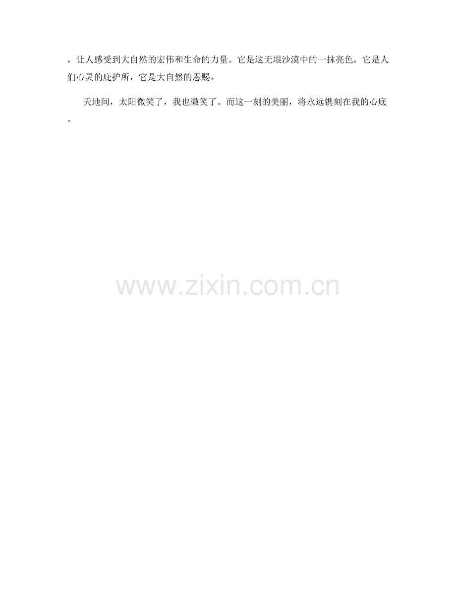 沙丘上的美丽日落.docx_第2页