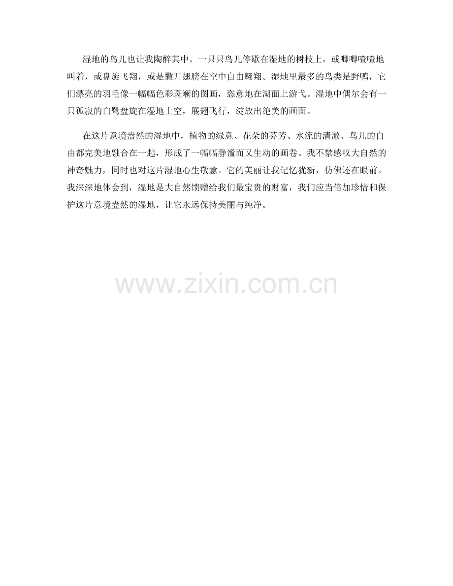 意境盎然的湿地.docx_第2页