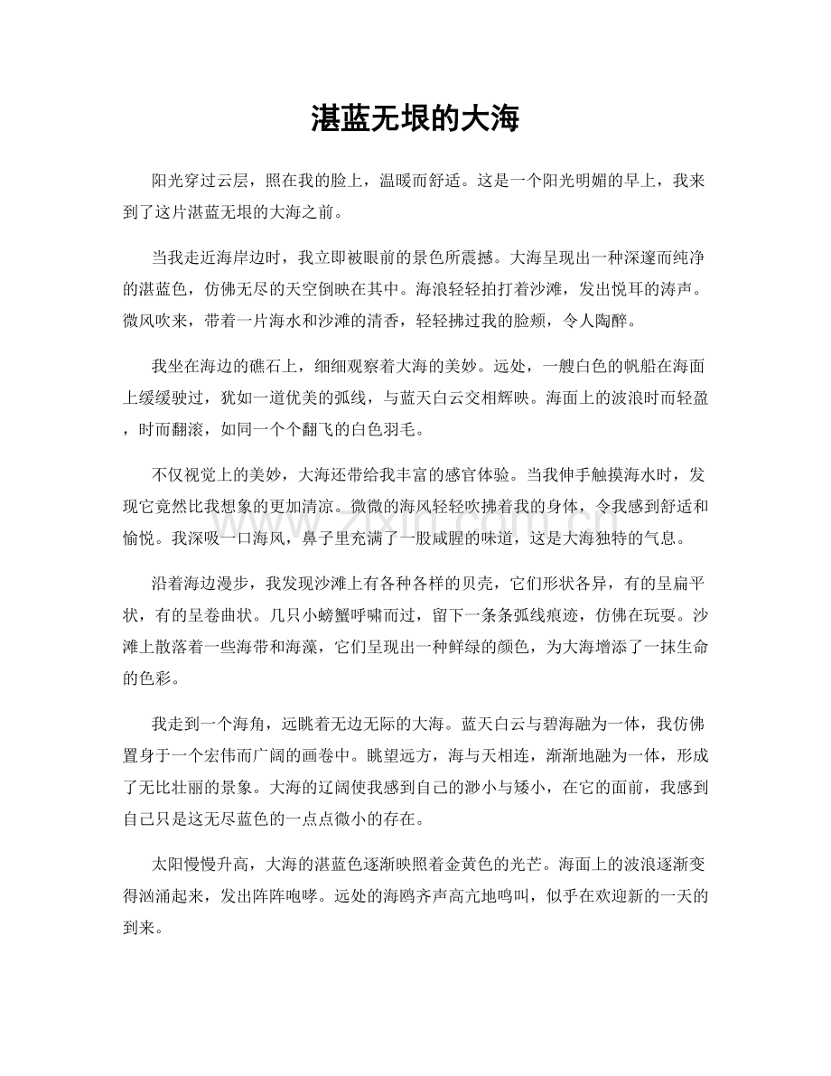 湛蓝无垠的大海.docx_第1页