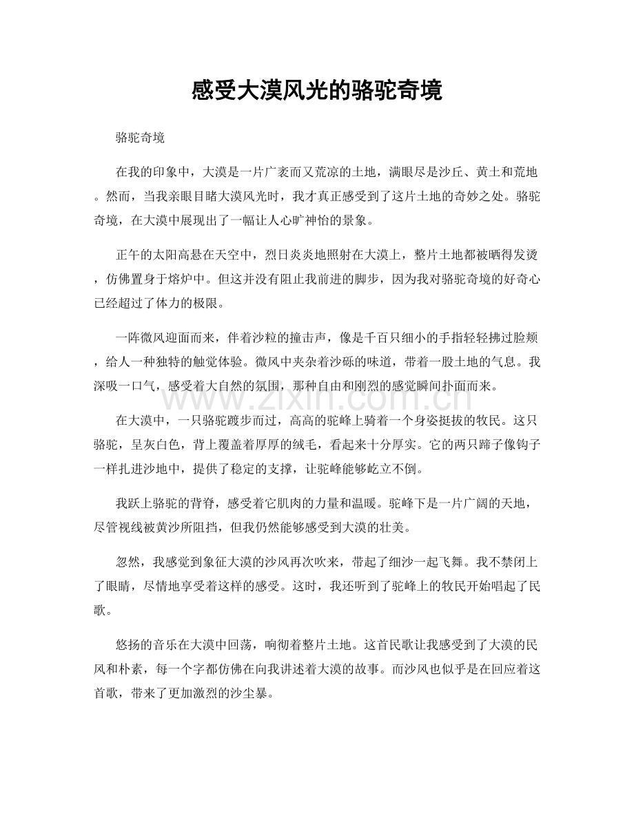 感受大漠风光的骆驼奇境.docx_第1页