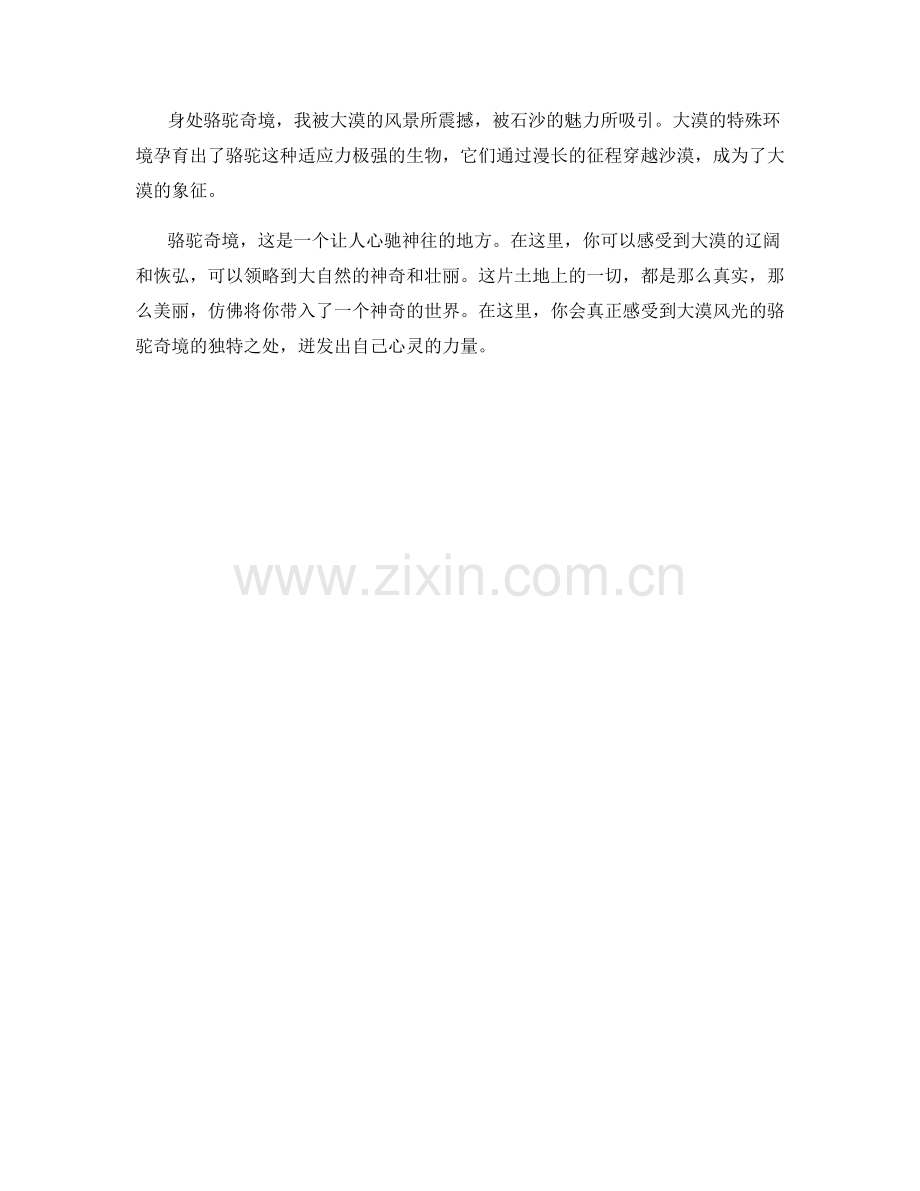 感受大漠风光的骆驼奇境.docx_第2页