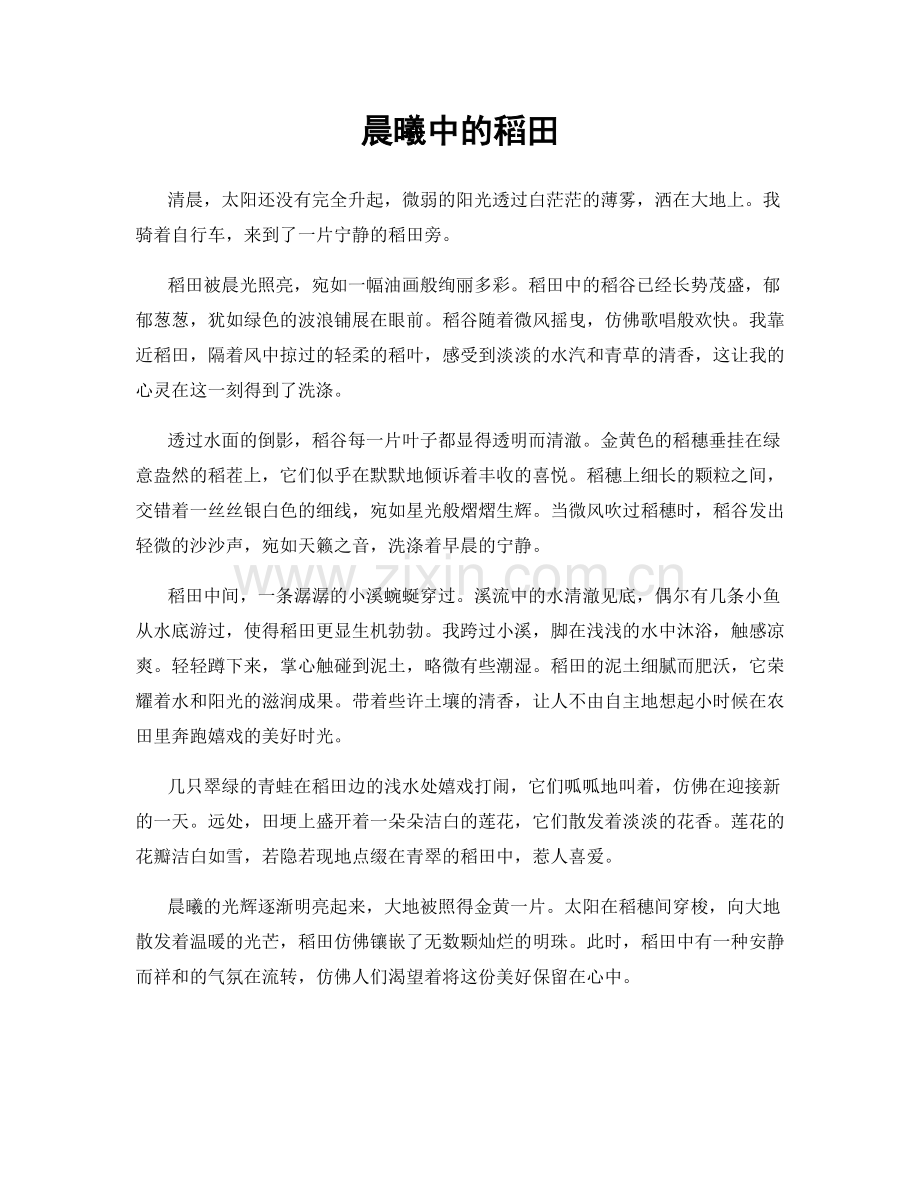 晨曦中的稻田.docx_第1页