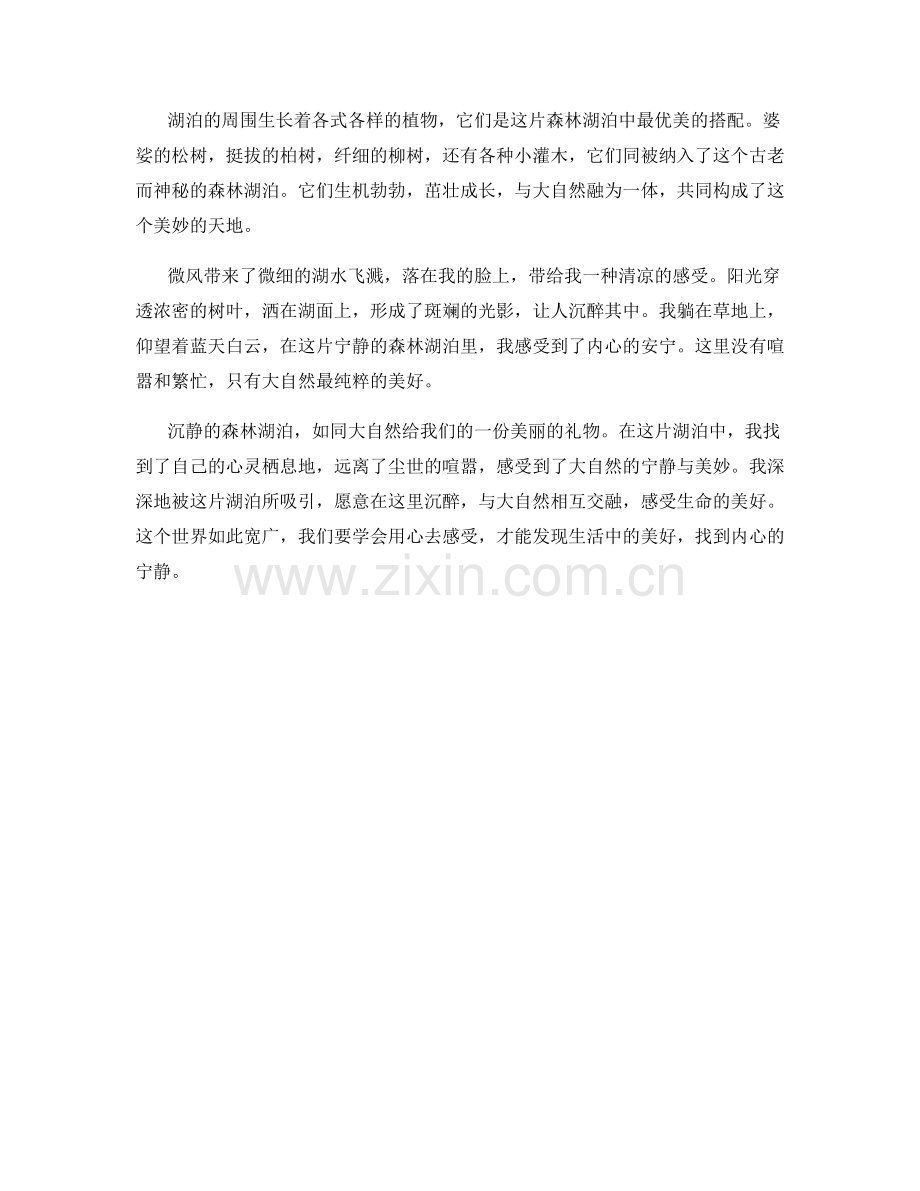 沉静的森林湖泊.docx_第2页