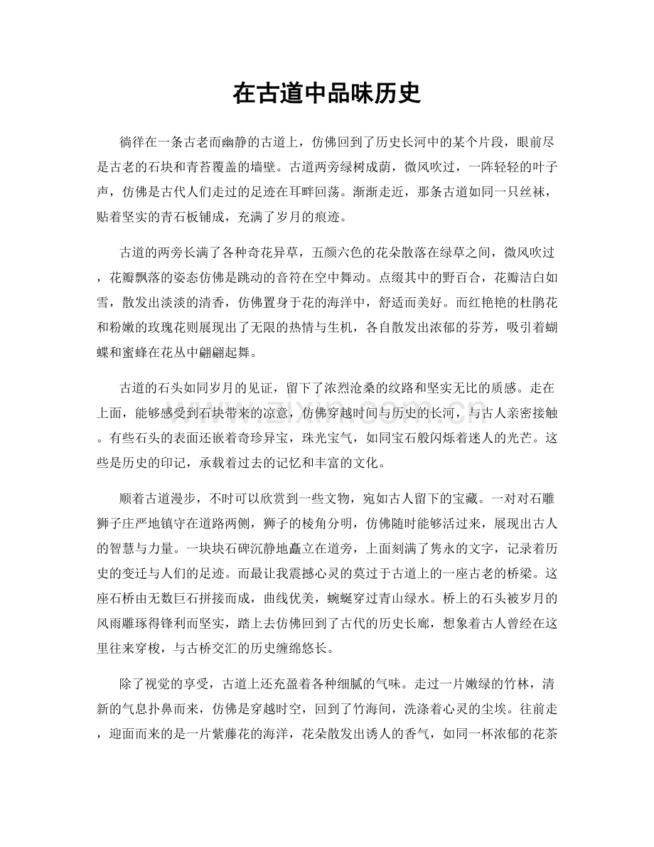在古道中品味历史.docx_第1页