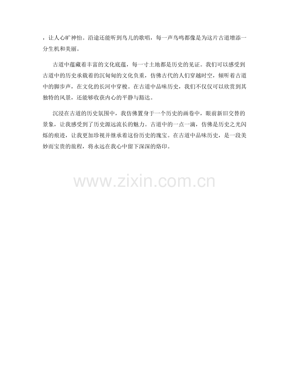 在古道中品味历史.docx_第2页