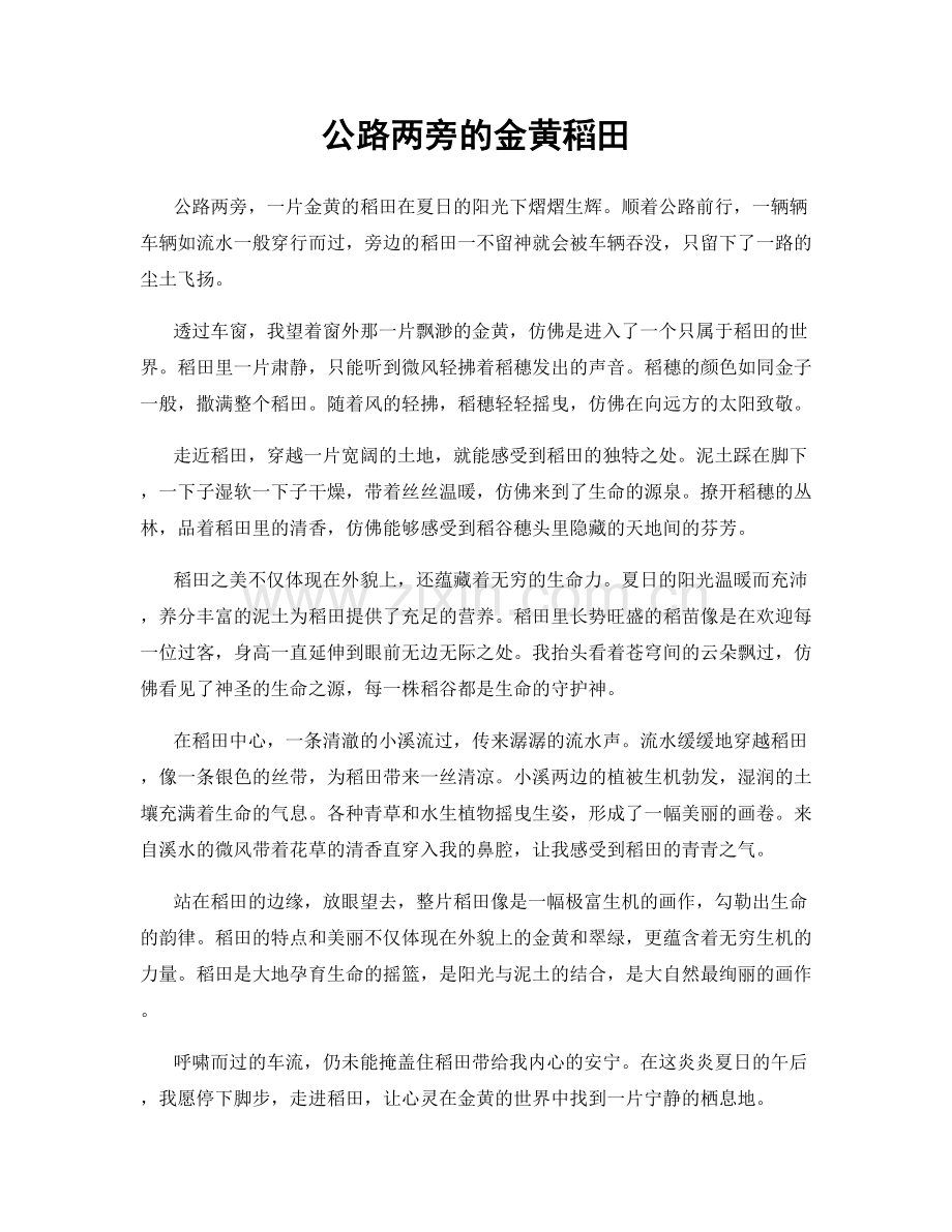 公路两旁的金黄稻田.docx_第1页