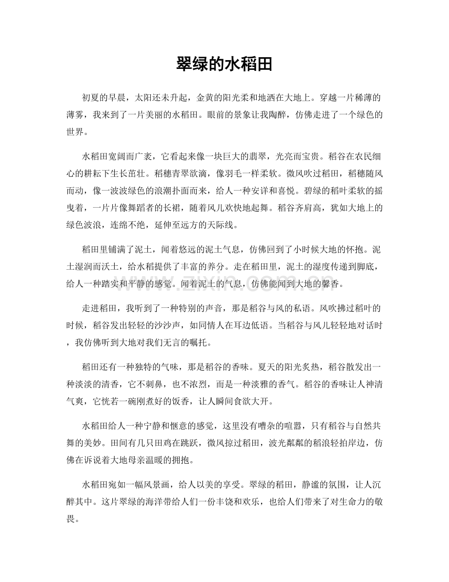 翠绿的水稻田.docx_第1页