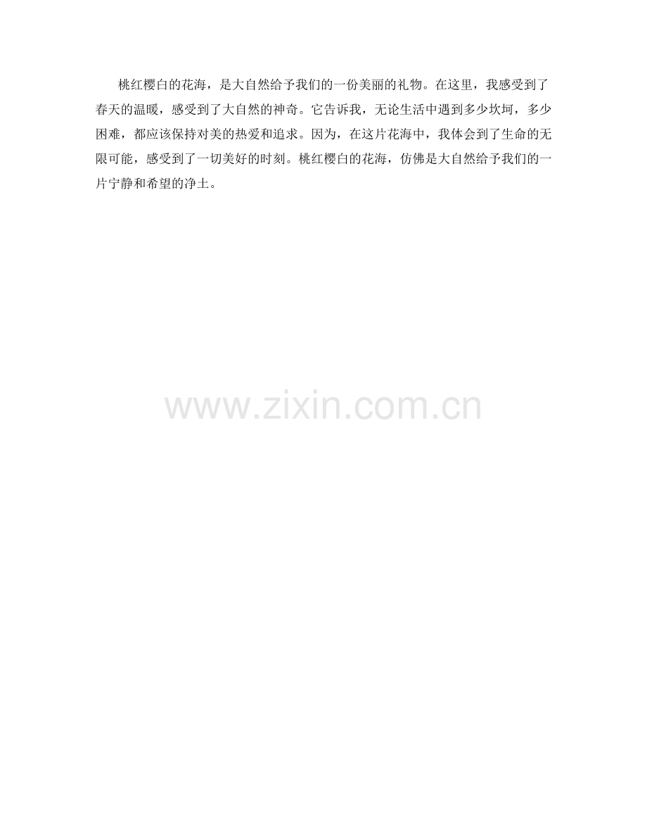 桃红樱白的花海.docx_第2页