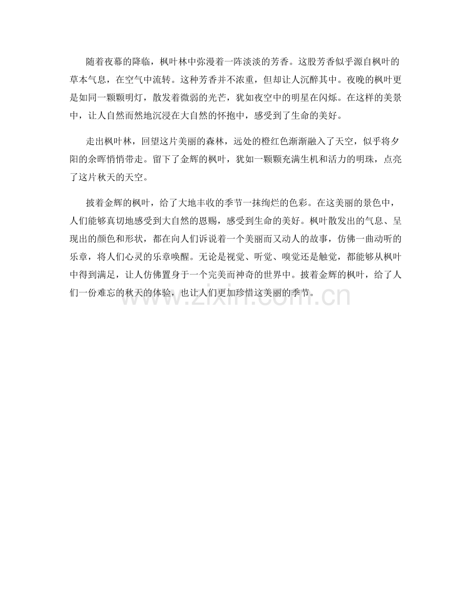 披着金辉的枫叶.docx_第2页